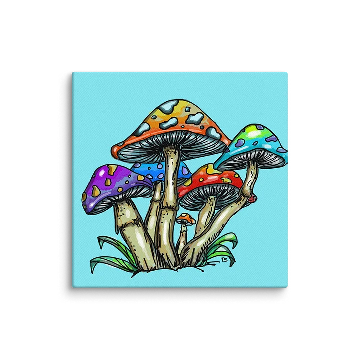 Shrooms Canvas by Terra at 50